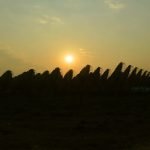 A utility-scale solar plant in India