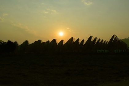 A utility-scale solar plant in India