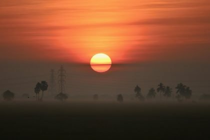 A paddy field in India